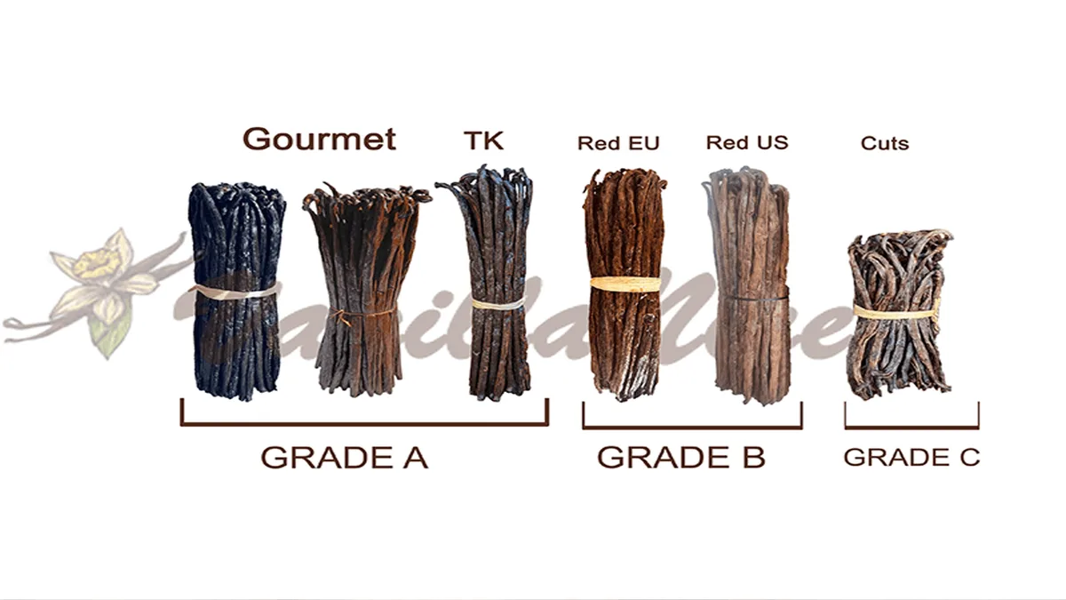 Madagascar vanilla bean grades comparison — Grade A, B and C