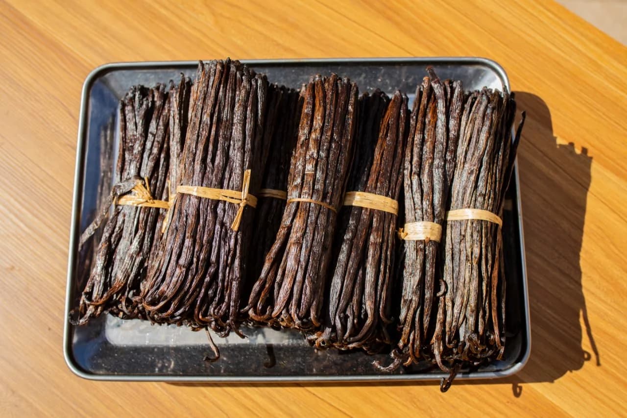 Bundles of cured Madagascar vanilla beans tied with raffia on a tray