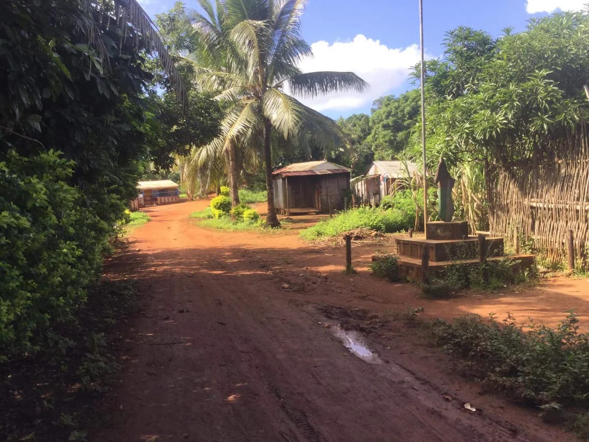SAVA vanilla farming village, Madagascar
