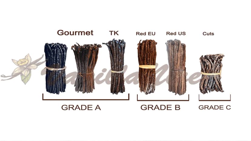 Madagascar vanilla bean grades comparison — Gourmet, TK, Red EU, Red US, Cuts