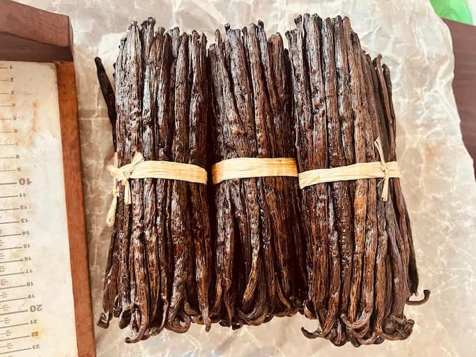 Premium Madagascar vanilla beans — bundles measured and export-ready