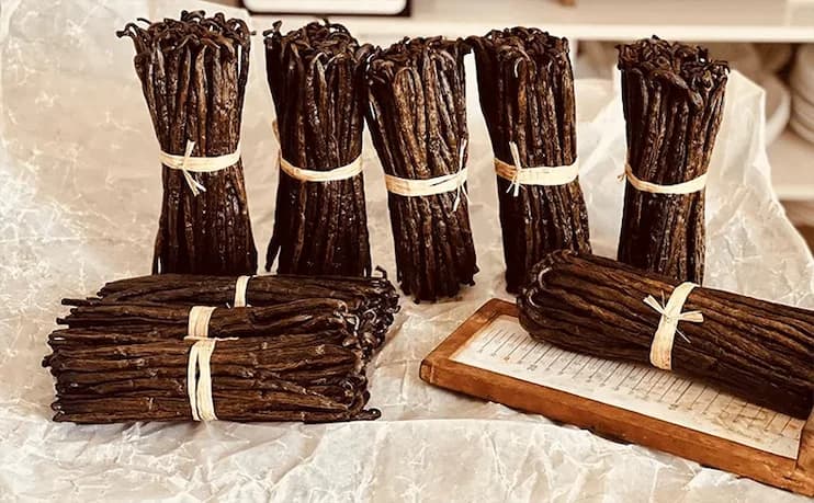 Grade B Madagascar vanilla beans for extract — split and whole pods